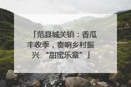 范县城关镇：香瓜丰收季，奏响乡村振兴 “甜蜜乐章”