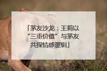 茅友沙龙：王莉以“三重价值”与茅友共探情感逻辑