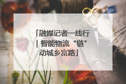 融媒记者一线行｜智能物流“链”动城乡富路