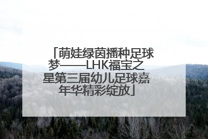 萌娃绿茵播种足球梦——LHK福宝之星第三届幼儿足球嘉年华精彩绽放