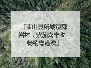 蓝山县所城镇舜岩村：紫茄喜丰收 畅销粤港澳