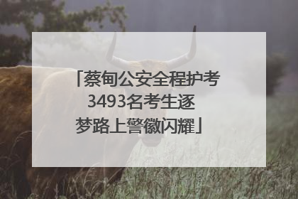 蔡甸公安全程护考 3493名考生逐梦路上警徽闪耀