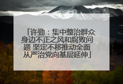 许勤：集中整治群众身边不正之风和腐败问题 坚定不移推动全面从严治党向基层延伸