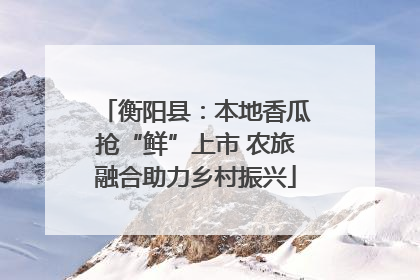 衡阳县：本地香瓜抢“鲜”上市 农旅融合助力乡村振兴