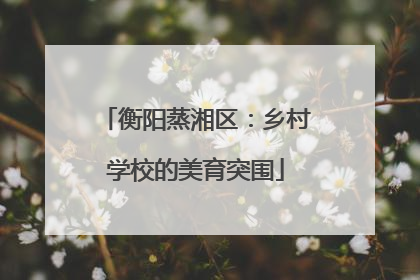 衡阳蒸湘区：乡村学校的美育突围