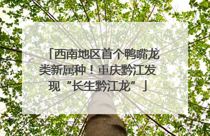 西南地区首个鸭嘴龙类新属种！重庆黔江发现“长生黔江龙”