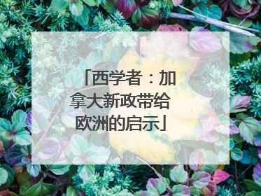 西学者：加拿大新政带给欧洲的启示