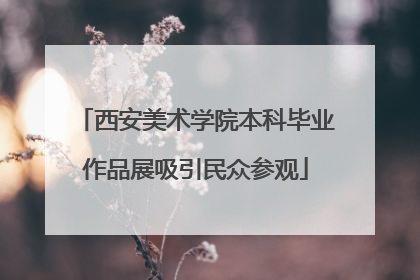 西安美术学院本科毕业作品展吸引民众参观