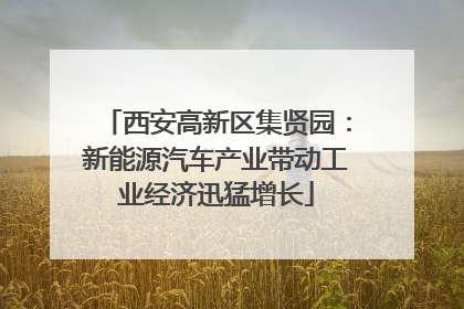 西安高新区集贤园：新能源汽车产业带动工业经济迅猛增长