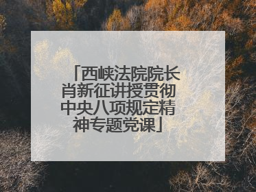 西峡法院院长肖新征讲授贯彻中央八项规定精神专题党课