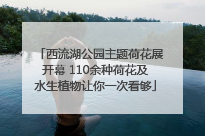 西流湖公园主题荷花展开幕 110余种荷花及水生植物让你一次看够