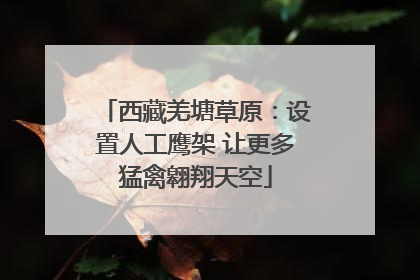 西藏羌塘草原：设置人工鹰架 让更多猛禽翱翔天空