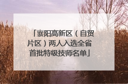 襄阳高新区（自贸片区）两人入选全省首批特级技师名单