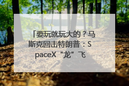 要玩就玩大的？马斯克回击特朗普：SpaceX“龙”飞船将立即退役！