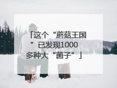 这个“蘑菇王国”已发现1000多种大“菌子”