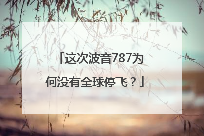 这次波音787为何没有全球停飞？