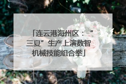 连云港海州区：“三夏”生产上演数智机械技能组合拳