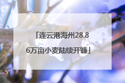 连云港海州28.86万亩小麦陆续开镰
