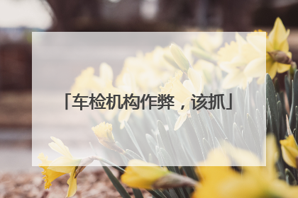 车检机构作弊，该抓