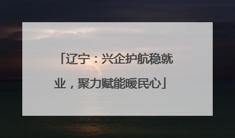 辽宁：兴企护航稳就业，聚力赋能暖民心