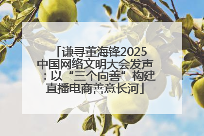 谦寻董海锋2025中国网络文明大会发声：以“三个向善”构建直播电商善意长河
