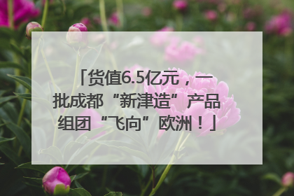货值6.5亿元，一批成都“新津造”产品组团“飞向”欧洲！