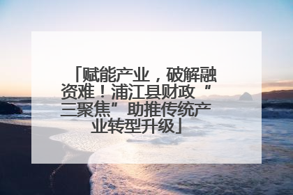赋能产业，破解融资难！浦江县财政“三聚焦”助推传统产业转型升级