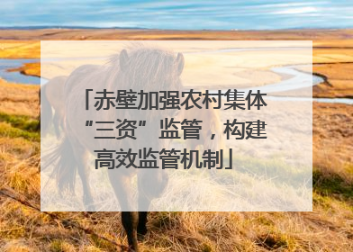 赤壁加强农村集体“三资”监管，构建高效监管机制