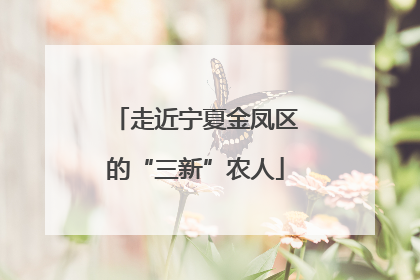 走近宁夏金凤区的“三新”农人