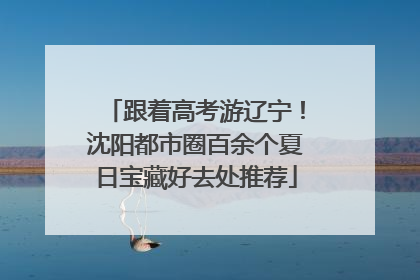 跟着高考游辽宁！沈阳都市圈百余个夏日宝藏好去处推荐