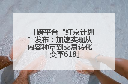 跨平台“红京计划”发布：加速实现从内容种草到交易转化丨变革618