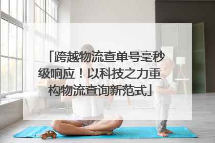 跨越物流查单号毫秒级响应！以科技之力重构物流查询新范式
