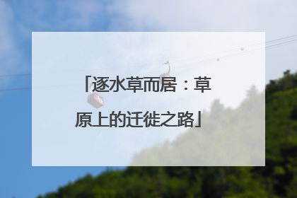 逐水草而居：草原上的迁徙之路