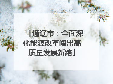 通辽市：全面深化能源改革闯出高质量发展新路