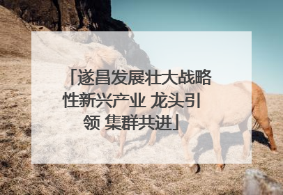 遂昌发展壮大战略性新兴产业 龙头引领 集群共进