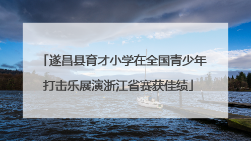 遂昌县育才小学在全国青少年打击乐展演浙江省赛获佳绩