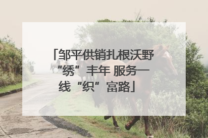 邹平供销扎根沃野“绣”丰年 服务一线“织”富路