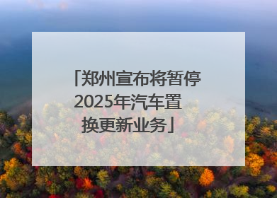 郑州宣布将暂停2025年汽车置换更新业务