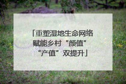 重塑湿地生命网络 赋能乡村“颜值”“产值”双提升