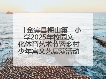 金寨县梅山第一小学2025年校园文化体育艺术节暨乡村少年宫文艺展演活动圆满落幕
