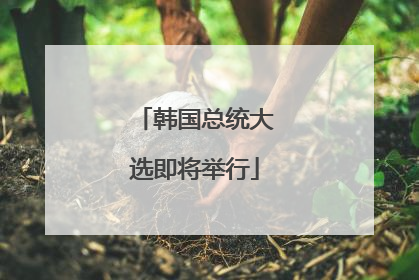 韩国总统大选即将举行