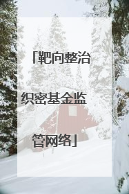 靶向整治织密基金监管网络