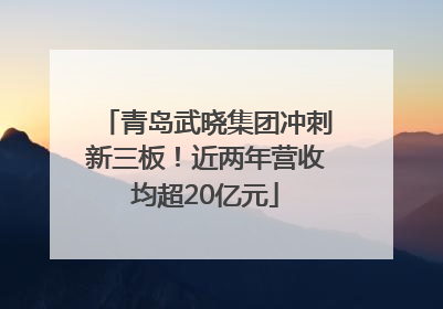 青岛武晓集团冲刺新三板！近两年营收均超20亿元
