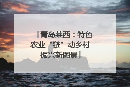 青岛莱西：特色农业“链”动乡村振兴新图景