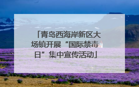 青岛西海岸新区大场镇开展“国际禁毒日”集中宣传活动