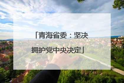青海省委：坚决拥护党中央决定