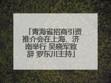 青海省招商引资推介会在上海、济南举行 吴晓军致辞 罗东川主持