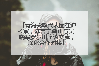 青海党政代表团在沪考察，陈吉宁龚正与吴晓军罗东川座谈交流，深化合作对接