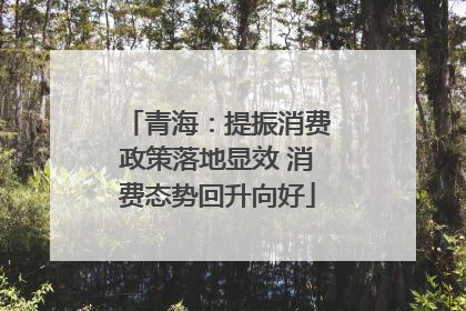青海：提振消费政策落地显效 消费态势回升向好
