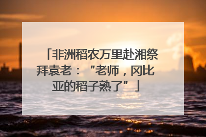 非洲稻农万里赴湘祭拜袁老：“老师，冈比亚的稻子熟了”